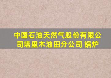 中国石油天然气股份有限公司塔里木油田分公司 锅炉